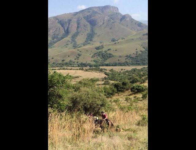 FARM FOR SALE IN LYDENBURG RURAL
